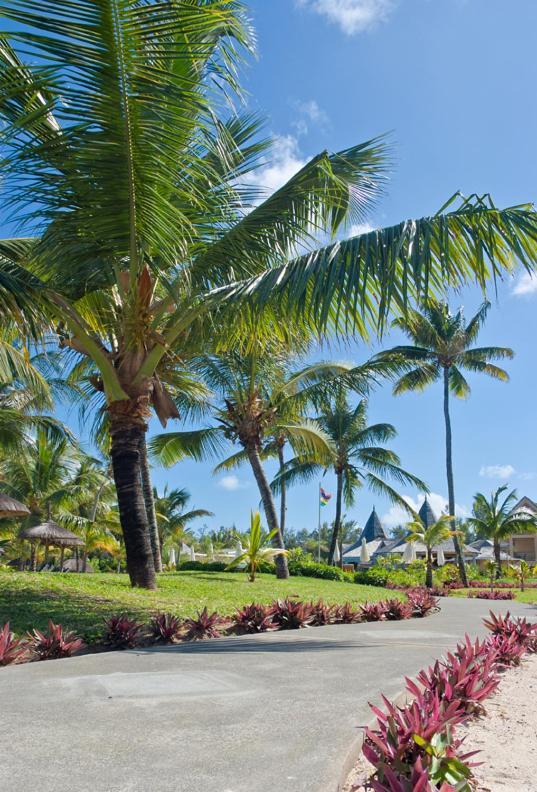 Jalsa Beach Hotel & Spa Poste Lafayette Eksteriør bilde