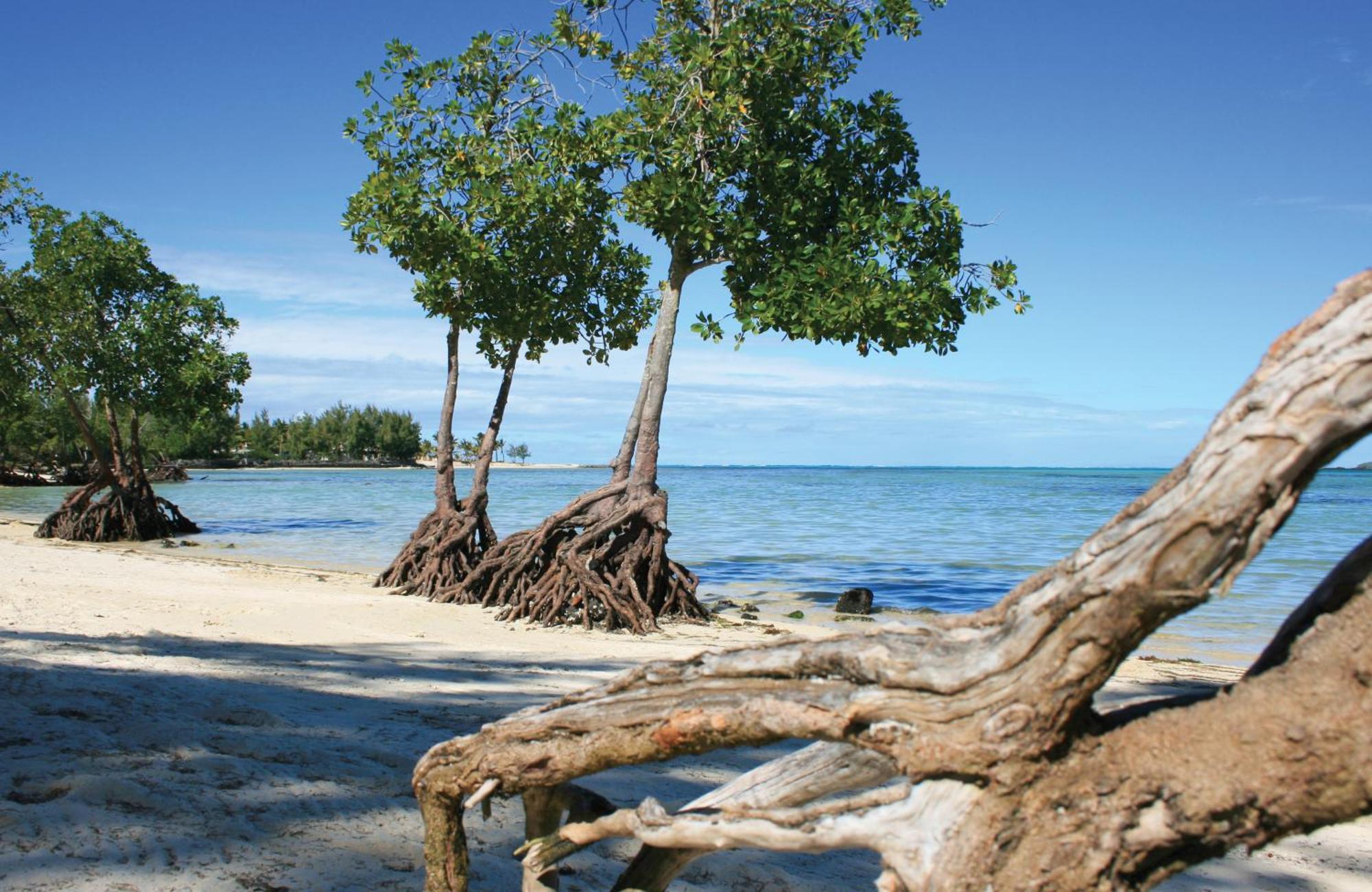 Jalsa Beach Hotel & Spa Poste Lafayette Eksteriør bilde