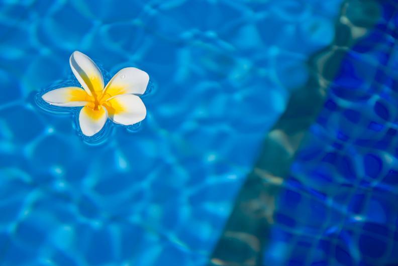Jalsa Beach Hotel & Spa Poste Lafayette Eksteriør bilde